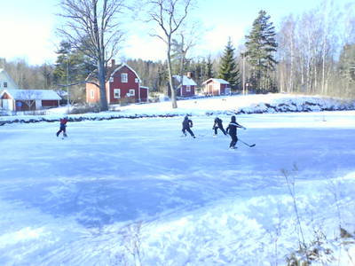 DSC00017.JPG